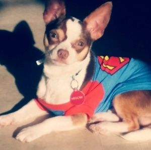 Meet your Posher, Emma